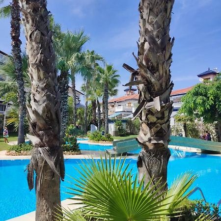 Sunny Apartment Costa Blanca La Mata  Εξωτερικό φωτογραφία